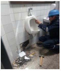 EULEN DEL PERÚ SERVICIOS GENERALES